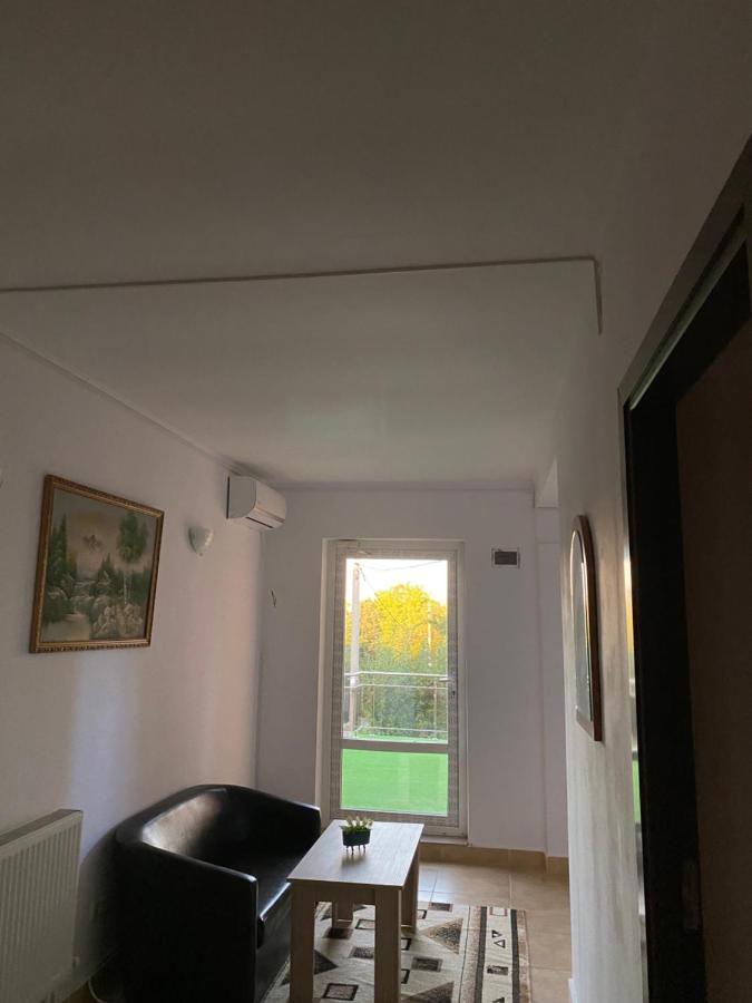 Vila Piscotel Schitu Buitenkant foto