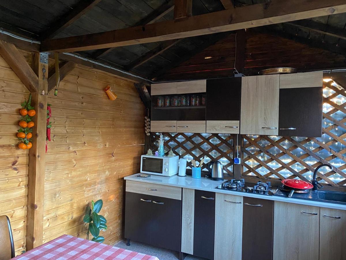 Vila Piscotel Schitu Buitenkant foto